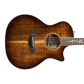 Premium Acoustic Guitars