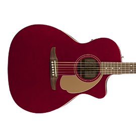 Fender Acoustic Guitars