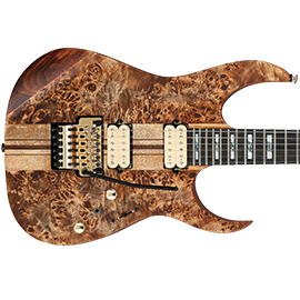 Ibanez Premium Series Guitars