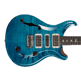 PRS Limited Edition Guitars